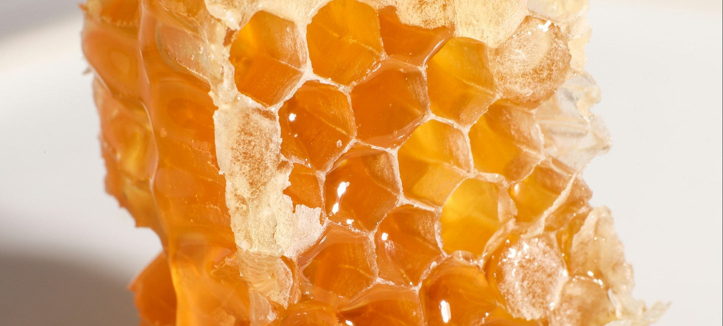 Small Bee Honey